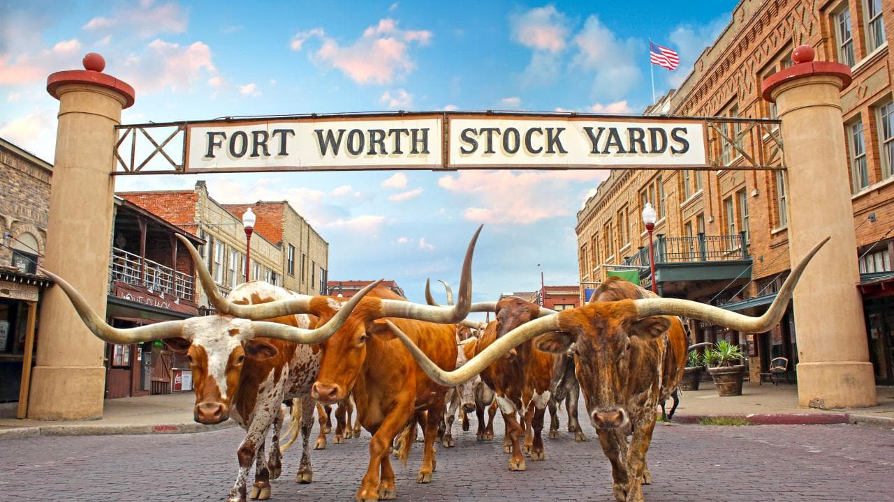 Fort Worth Concrete Contractors
